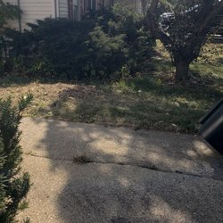 Buddy's Tree Service