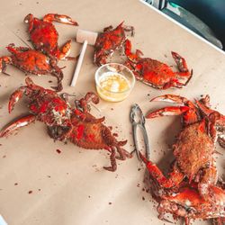 Always Best Crabs - Male large crabs