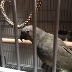 Boulder Pet Care