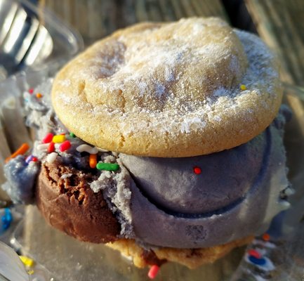 Cookies and Creme Jax Beach by null
