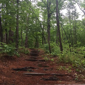 Tyler State Park - Parks Near Me - Tyler, Texas Tyler State Park - Parks Near Me - Tyler, Texas