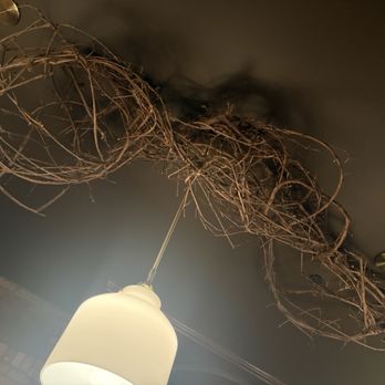 The Alexander - Decor - New American Near Me - Rochester, New York The Alexander - Decor - New American Near Me - Rochester, New York