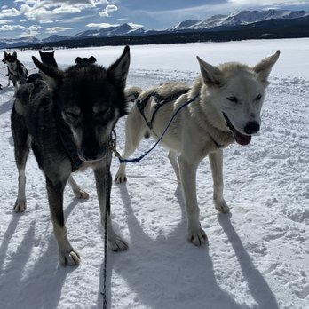 Alpine Adventures - Active Life Near Me - Leadville, Colorado