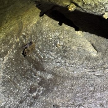 Appalachian Caverns - Landmarks & Historical Buildings Near Me - Blountville, Tennessee Appalachian Caverns - Landmarks & Historical Buildings Near Me - Blountville, Tennessee