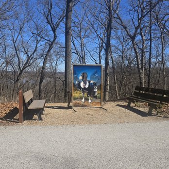 World Bird Sanctuary - Picture anyone? - Parks Near Me - Valley Park, Missouri