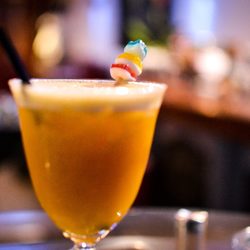 Algorythme - Cocktail Zeppelin