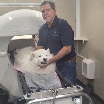 Vet Boarding Hc - Veterinarians Near Me Vet Boarding Hc - Veterinarians Near Me