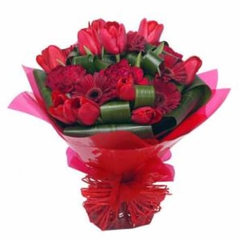 Blooms - Florists Near Me - Glasgow, GLG