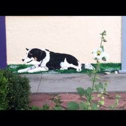 Chamber of Commerce-Area Information - The Couryard dog Rosie by Vin.