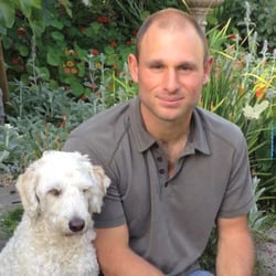 Brian Haller's Dog Training Solutions