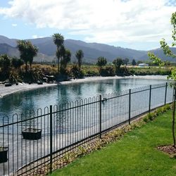 The Vines Village