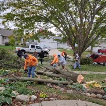 Embark Tree Removal - Pest Control Near Me