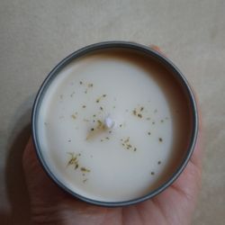 Mother Earth Essentials - Cedar Balsam candle $18. Smells so good!