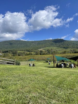 Glen Manor Vineyards by null