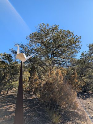 Santa Fe Botanical Garden by null