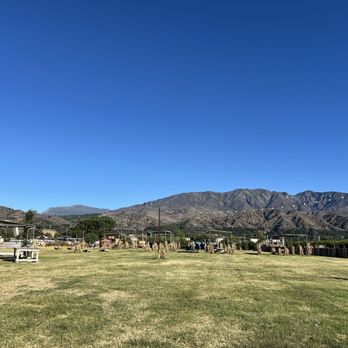 Prancers Farm - Fruits & Veggies Near Me - Santa Paula, California Prancers Farm - Fruits & Veggies Near Me - Santa Paula, California