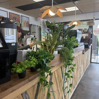 the seed. - Jupiter - Juice Bars & Smoothies Near Me - Jupiter, Florida
