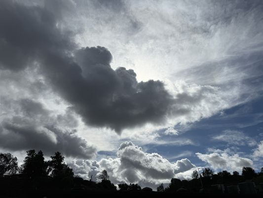 Mariscos Mi Gusto Es by null