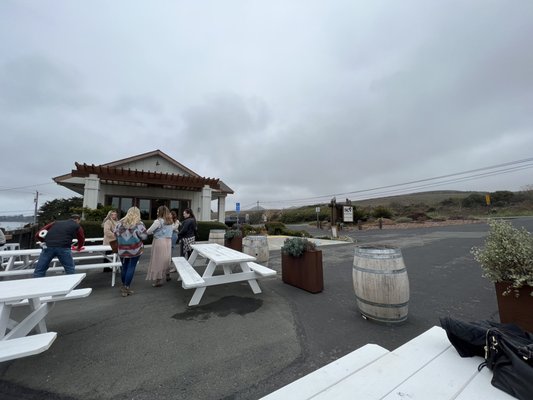 Sonoma Coast Vineyards by null