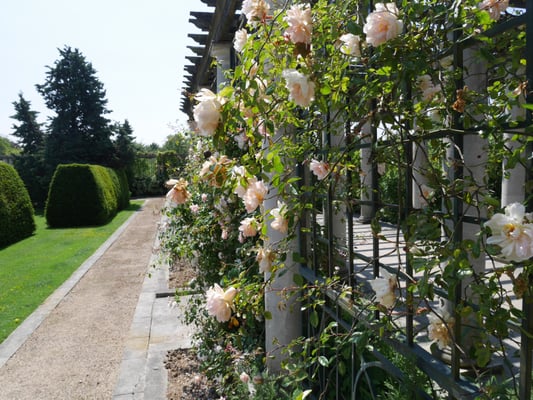 The Hill Garden and Pergola by null