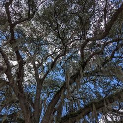 Zephyrhills Depot Park