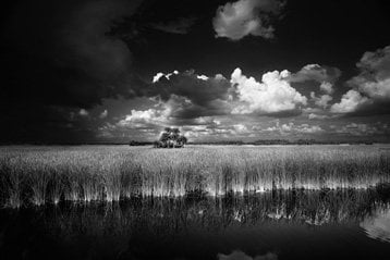 Ivey House Everglades Adventures Hotel by null