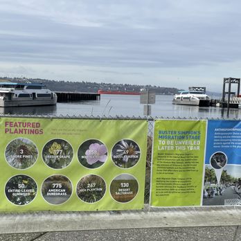Pioneer Square Habitat Beach - Parks Near Me - Seattle, Washington Pioneer Square Habitat Beach - Parks Near Me - Seattle, Washington