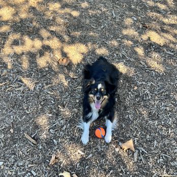 Sherwood Dog Park - Dog Parks Near Me - Paso Robles, California Sherwood Dog Park - Dog Parks Near Me - Paso Robles, California