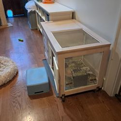 Brooklyn Cat Cafe - Interior