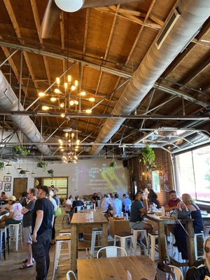 Divine Barrel Brewing by null