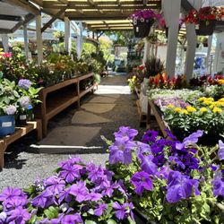 Sloat Garden Center