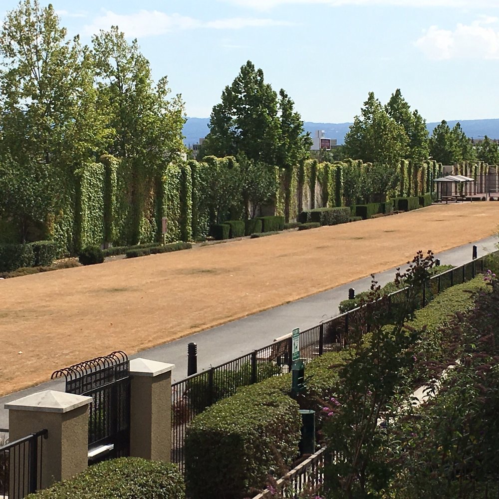 Tom Evatt Park - Parks Near Me - Milpitas, California Tom Evatt Park - Parks Near Me - Milpitas, California