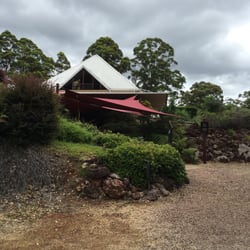 Long Point Vineyard