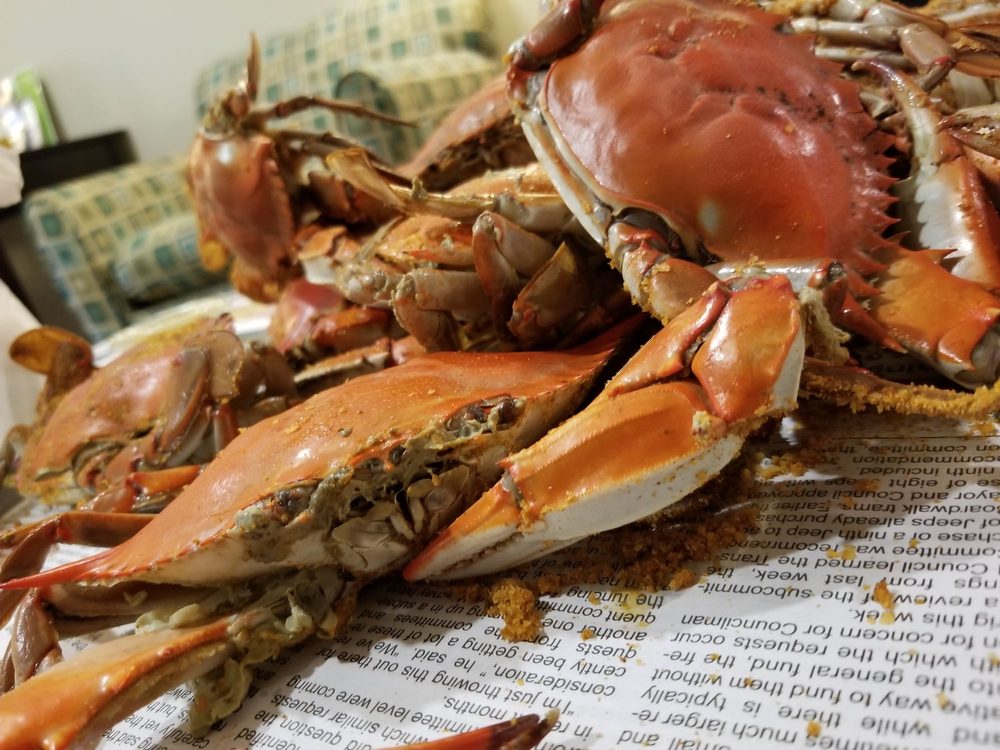 PGN CRAB HOUSE 91 Photos & 218 Reviews 2906 Philadelphia Ave, Ocean