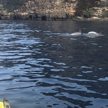 Bay Side Adventures - Tours Near Me - Honaunau, Hawaii Bay Side Adventures - Tours Near Me - Honaunau, Hawaii