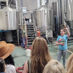Grapevine Wine Tours - The best of both worlds! Hop & Sting is great brewery to enjoy on your wine tour!