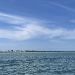 Shell Island Shuttle