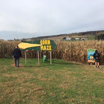 Mast Farms Corn Maze - Farmers Market Near Me - Morgantown, Pennsylvania Mast Farms Corn Maze - Farmers Market Near Me - Morgantown, Pennsylvania