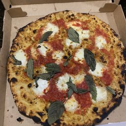 Large Margherita Large Margherita