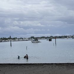 Phil Foster Park - View