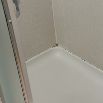 Hampton Inn & Suites Detroit-Canton - Mildew in shower - Hotels Near Me - Canton, Michigan Hampton Inn & Suites Detroit-Canton - Mildew in shower - Hotels Near Me - Canton, Michigan