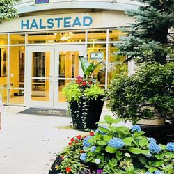 Halstead Burlington - Our beautiful warm welcoming entrance!
