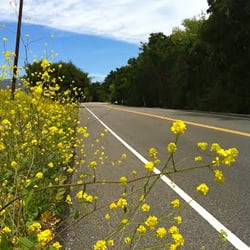 Ojai Half Marathon, 5K & 10K