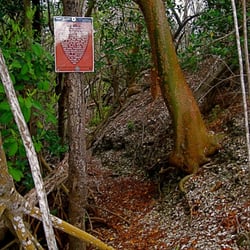 Calusa Shell Mound