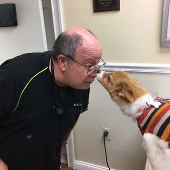 Roslyn Greenvale Veterinary Group - Dr. May with Mia - Veterinarians Near Me - Greenvale, New York Roslyn Greenvale Veterinary Group - Dr. May with Mia - Veterinarians Near Me - Greenvale, New York