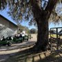 Photo of Harvest Holler Corn Maze