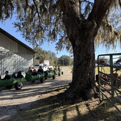 Harvest Holler Corn Maze