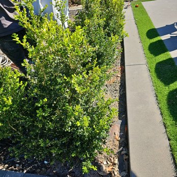 Sierra Revolution Landscaping - a man working on a lawn - Landscaping Near Me Sierra Revolution Landscaping - a man working on a lawn - Landscaping Near Me