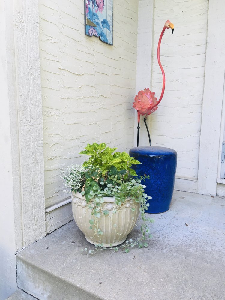 HALING’S GREENHOUSE Updated August 2024 6303 W 75th St, Prairie Village, Kansas Nurseries