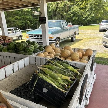 Powell's Roadside Market - Fresh vegetables - Farmers Market Near Me - Moyock, North Carolina Powell's Roadside Market - Fresh vegetables - Farmers Market Near Me - Moyock, North Carolina